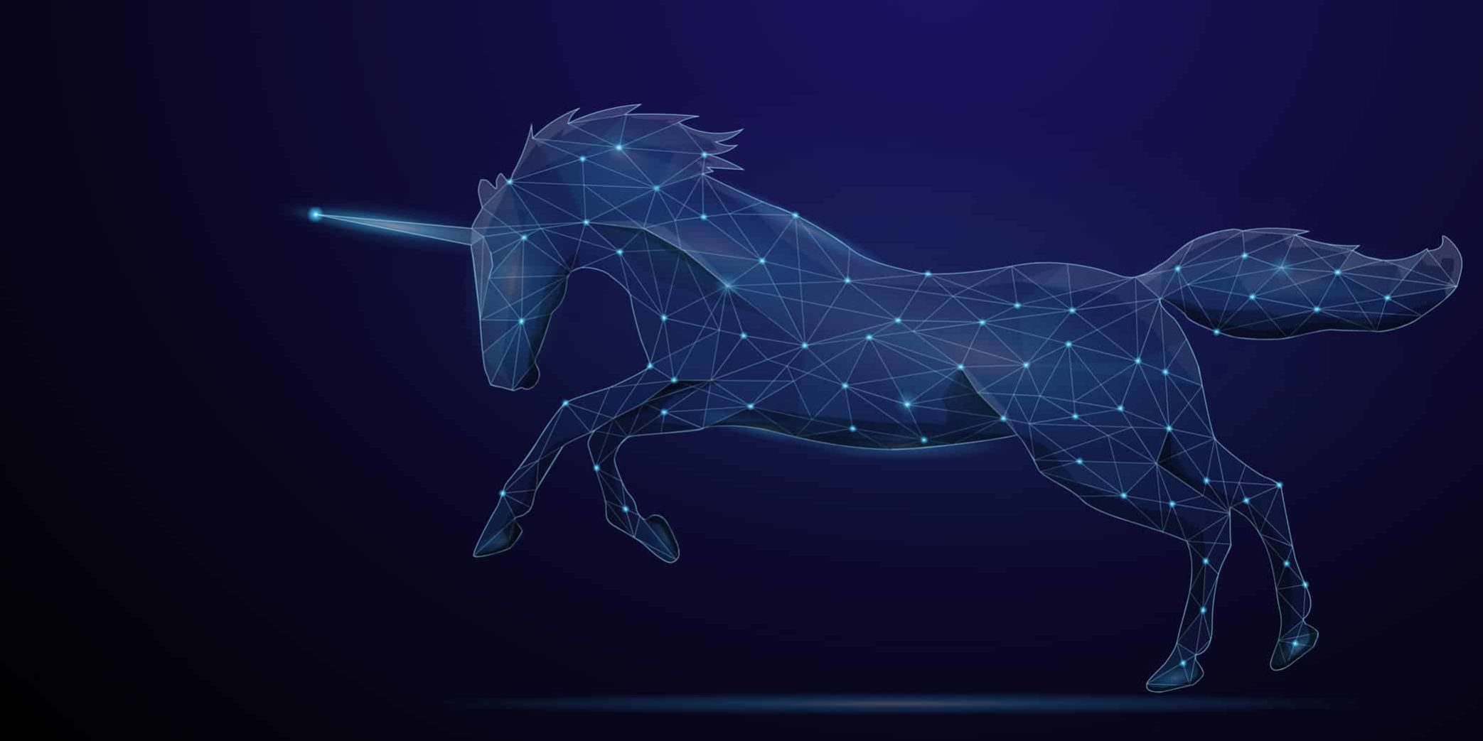What is a Unicorn Startup? A Look Into Privately Owned Well Funded Startups
