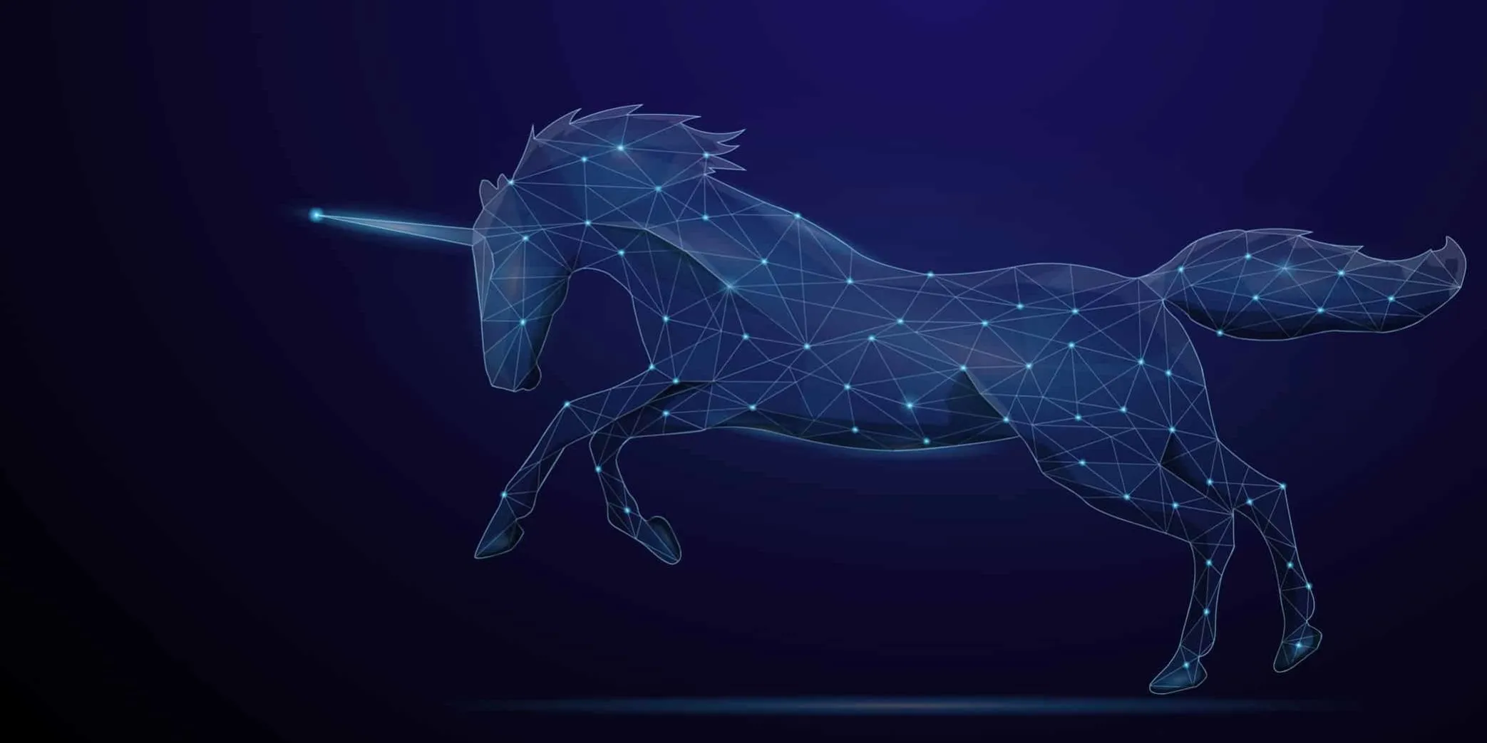 What is a Unicorn Startup? A Look Into Privately Owned Well Funded Startups