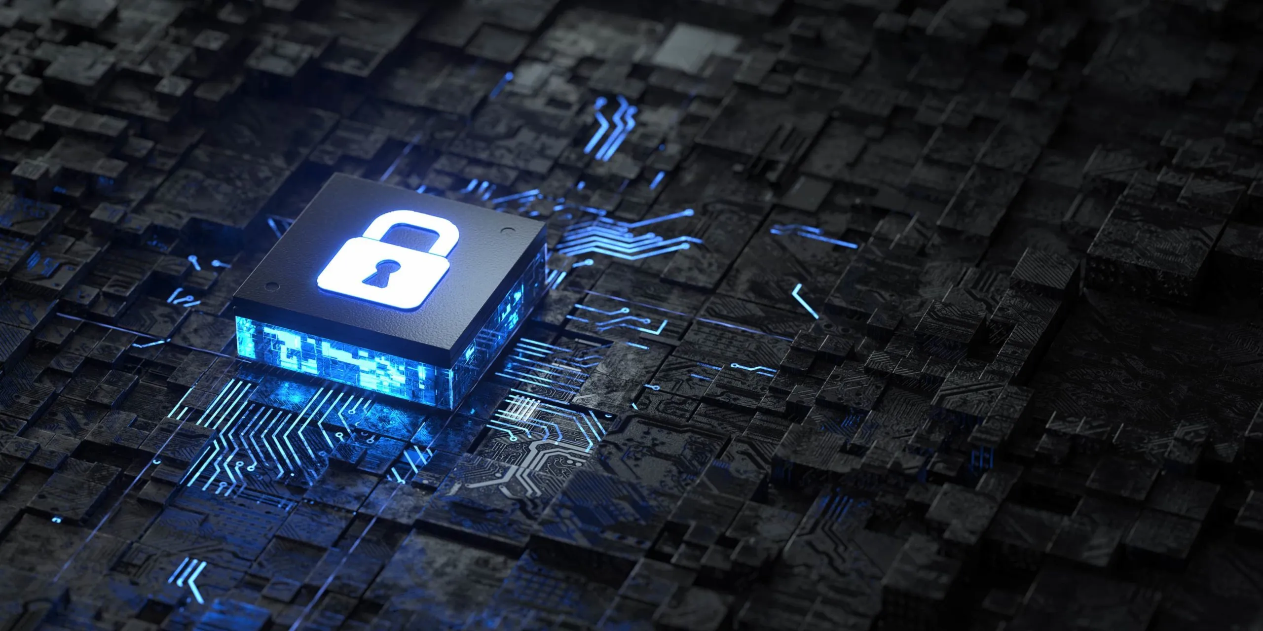 Data Security Strategy: The Different Types of Encryption